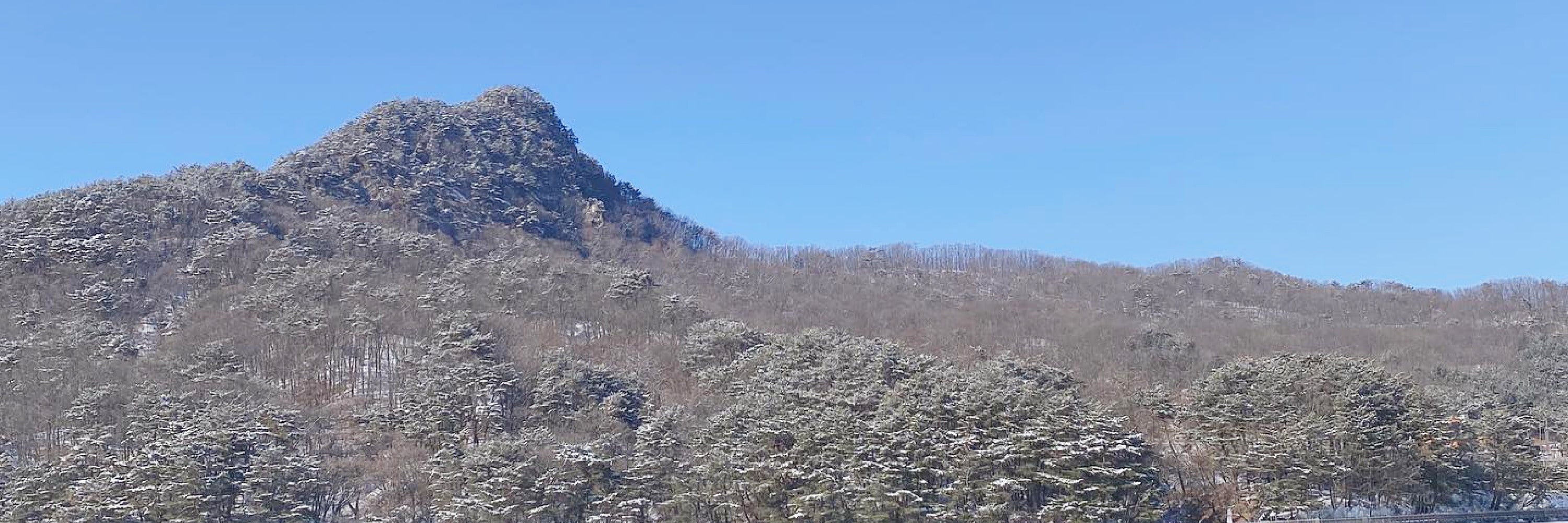 浦川 & 季節性熱門景點一日遊