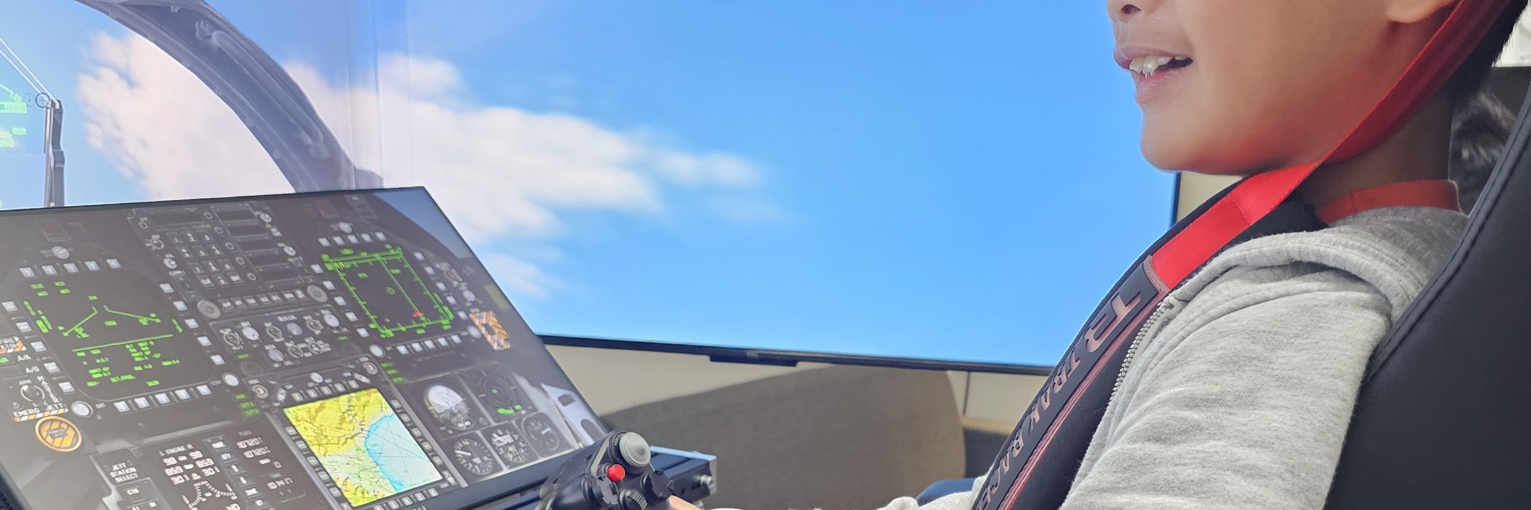 Ultimate Simulator Flight Experiences by WingsAcademy - Thumbnail 11