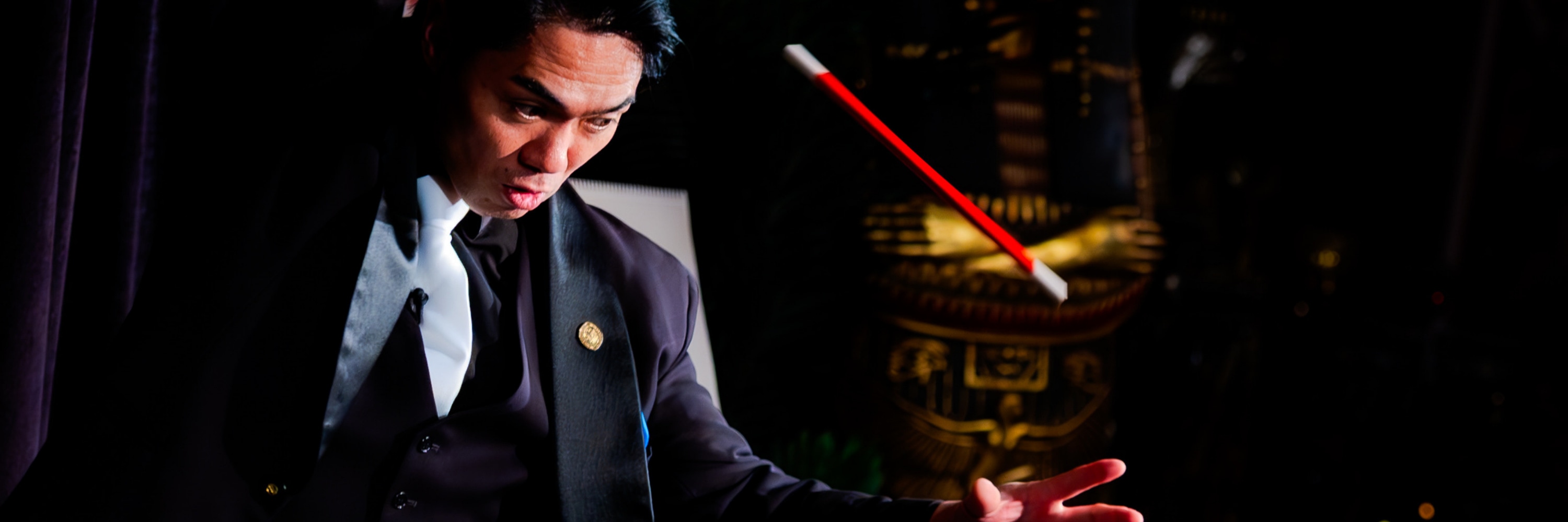 The Magical Mystery Show Ticket in Oahu - Thumbnail 21