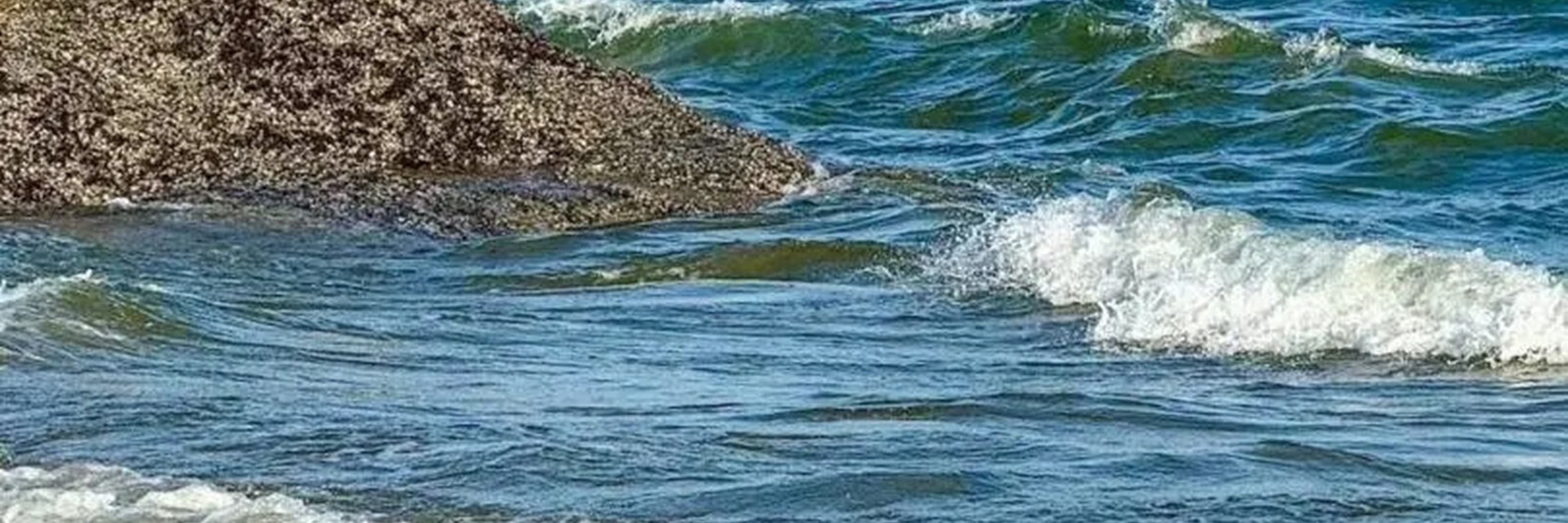 福建廈門帆船出海&鼓浪嶼1日遊（體驗帆船出海+鼓浪嶼+萬國建築博覽+打卡網紅地”最美轉角“+贈送老別墅下午茶&旅拍&精美福袋+廈門往返）