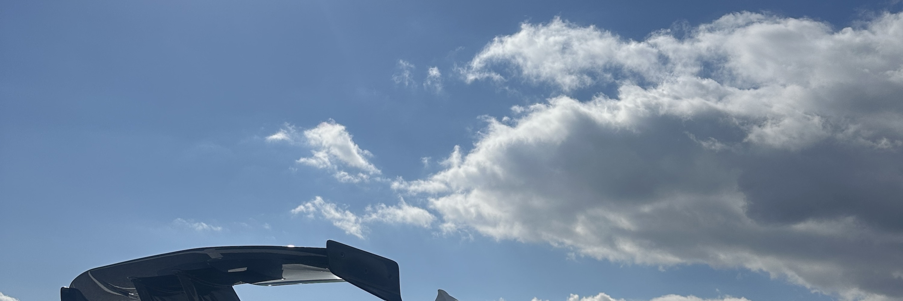 Tokyo Fuji Speedway & Mt. Fuji Half-Day Private Tour
