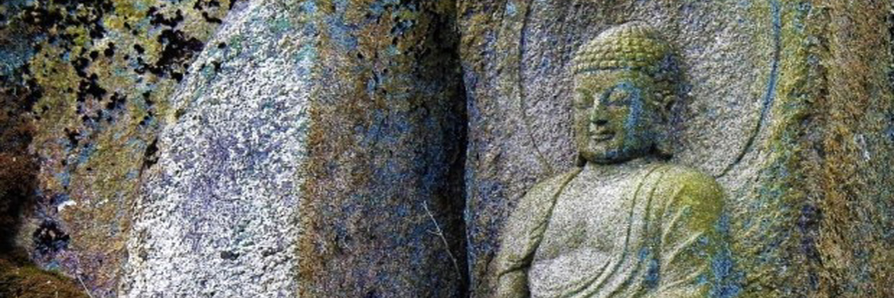 石佛寺 & 金井山炮臺徒步之旅