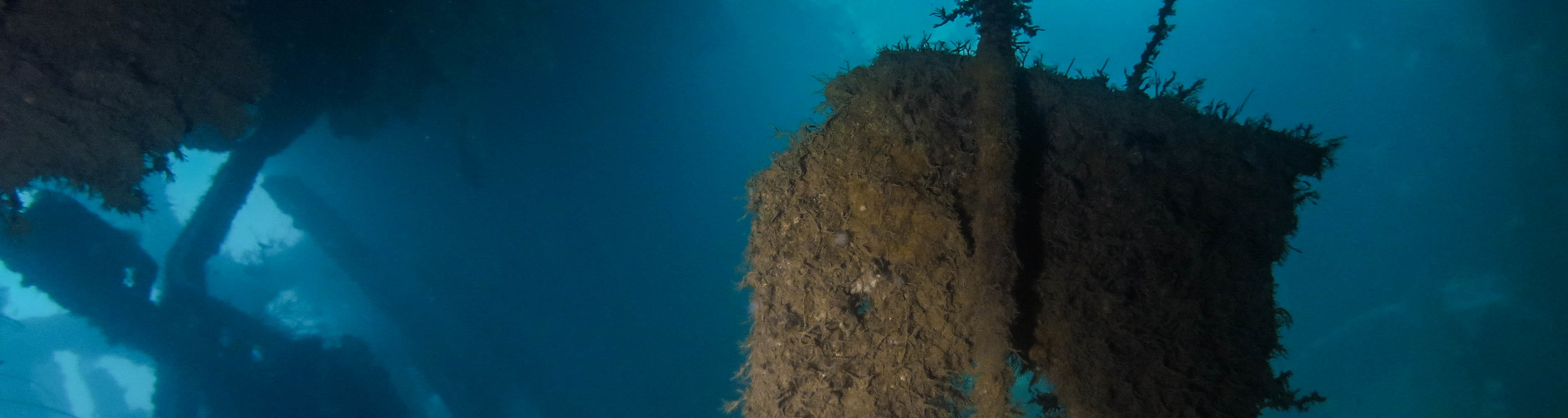 巴拉望PADI高氧空氣、潛水2次體驗（PADI五星級潛水度假村）