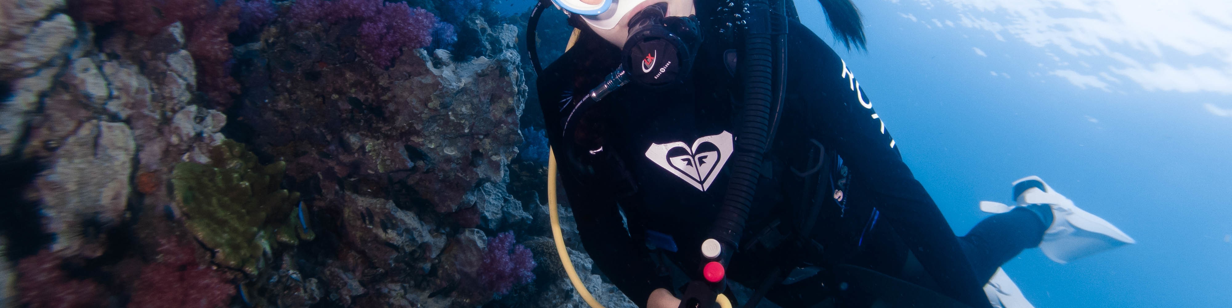 潛水：與 PADI 潛水中心一起探索巴東拜的水肺潛水