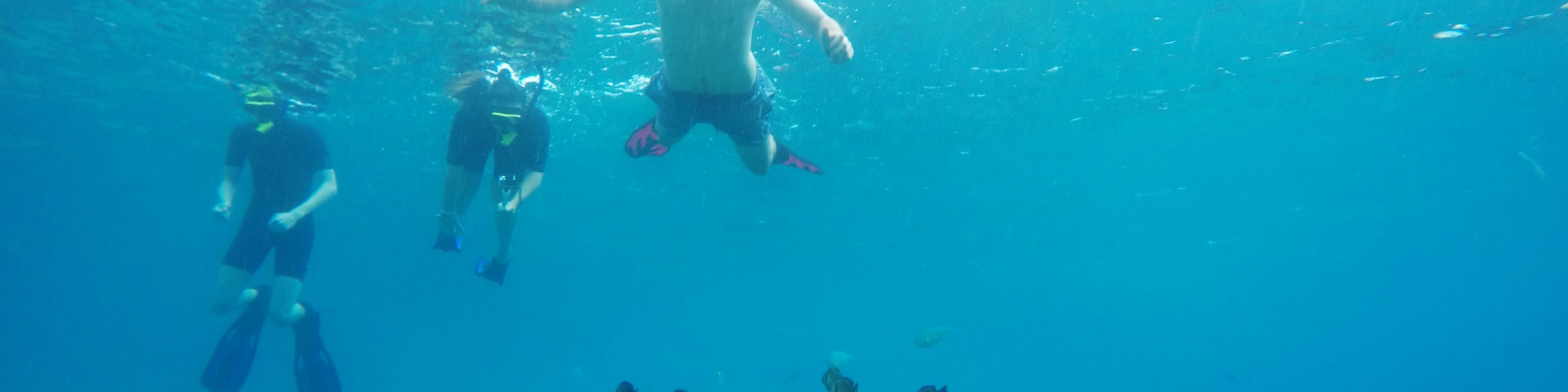 Snorkeling Trip at Tulamben Shipwreck