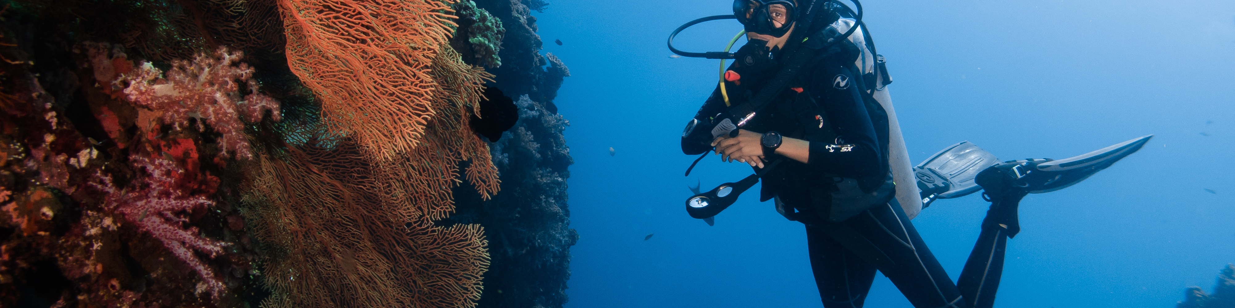 精通巴厘島：PADI 潛水中心的高級開放水域潛水員課程