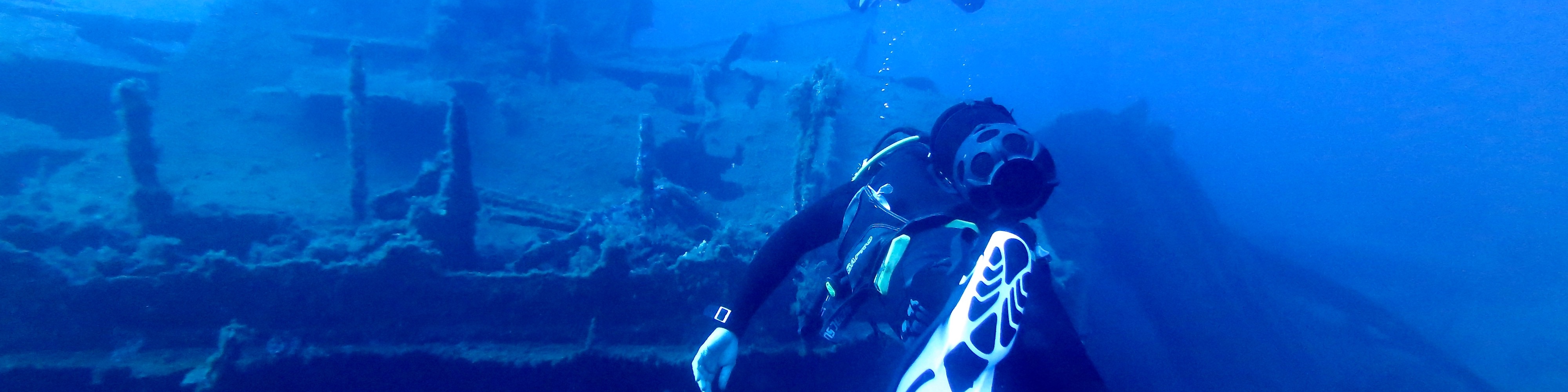 Full-Day Dive Trip