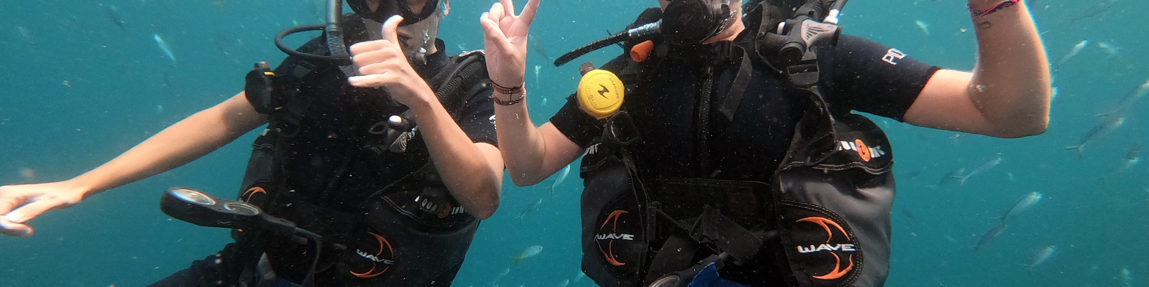帕岸島 PADI 五星潛水中心體驗潛水