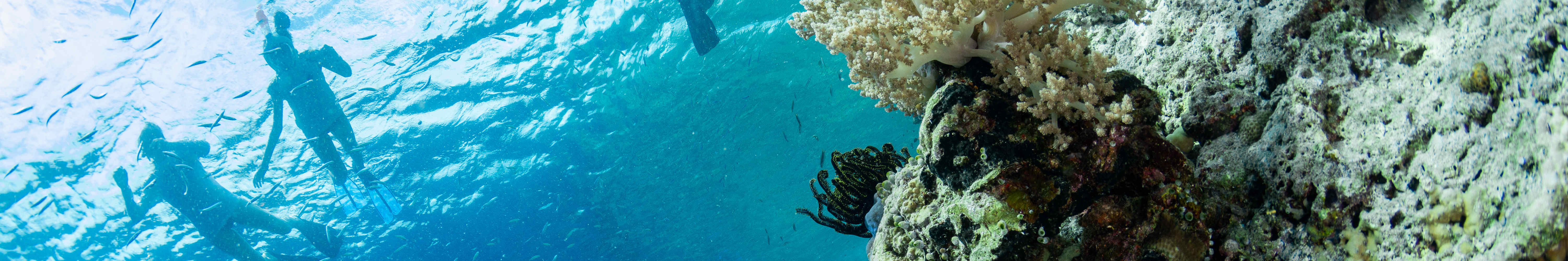 門姜岸島半日浮潛體驗（PADI五星級潛水中心）