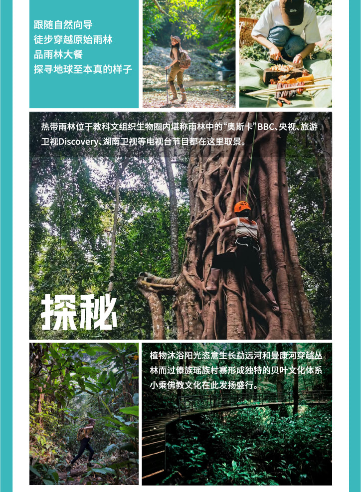 雲南西雙版納+普洱5天4晚【原始森林輕徒步+雨林牧象+咖啡莊園品鑑+普洱國家森林公園+全程臻選5鑽度假酒店】