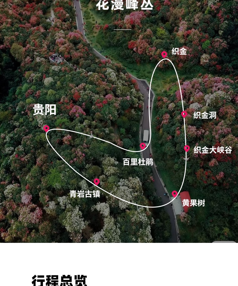 貴州百里杜鵑5日賞花之旅(貴陽往返+四鑽酒店+贈送旅拍+百里杜鵑+青巖古鎮+織金洞+黃果樹瀑布）