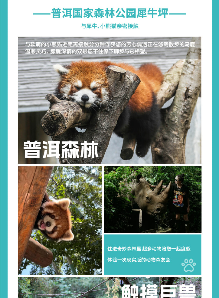 雲南西雙版納+普洱5天4晚【原始森林輕徒步+雨林牧象+咖啡莊園品鑑+普洱國家森林公園+全程臻選5鑽度假酒店】