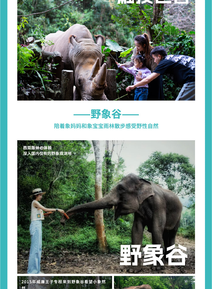 雲南西雙版納+普洱5天4晚【原始森林輕徒步+雨林牧象+咖啡莊園品鑑+普洱國家森林公園+全程臻選5鑽度假酒店】