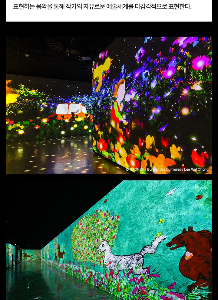 Bunker des Lumieres Ticket in Jeju