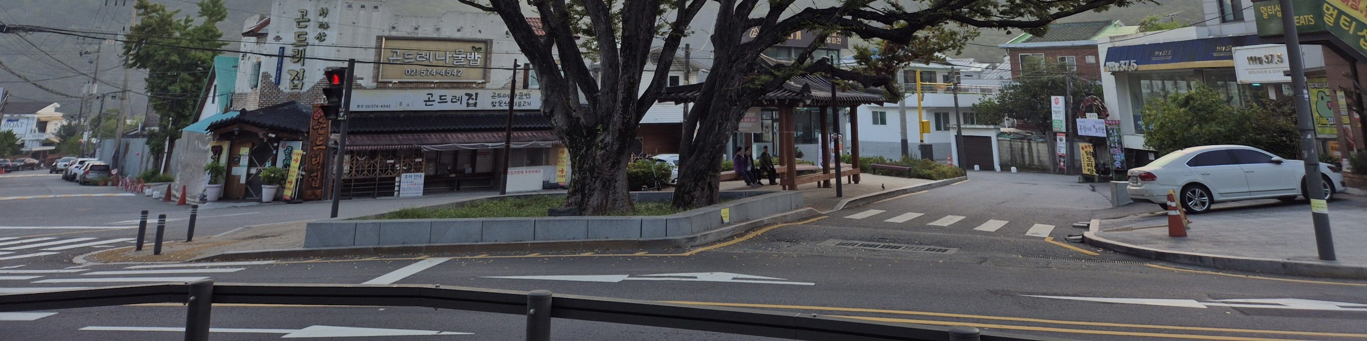 big tree in Cheonggyesan Mt, Entrance