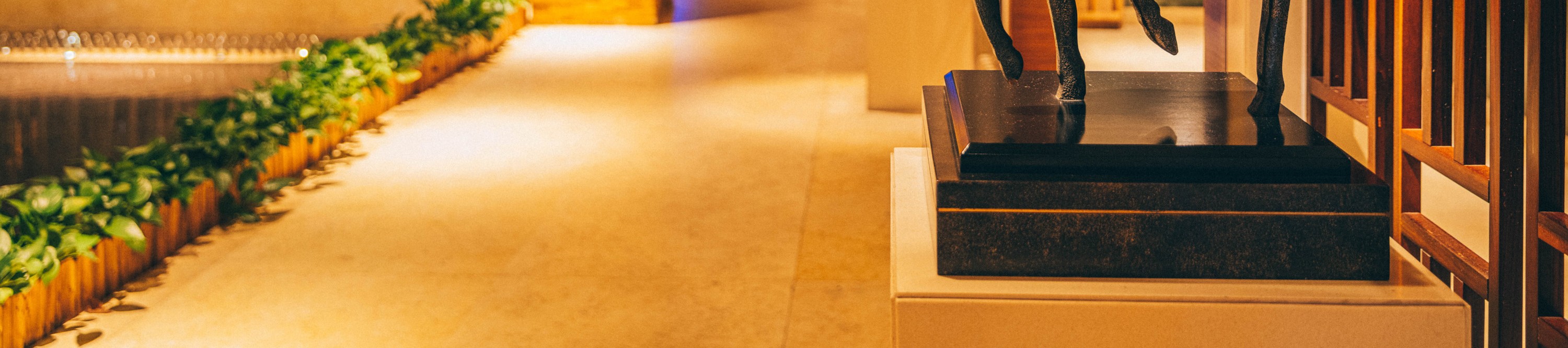[Mid-year promotion] Hyatt Regency Dongguan Songshan Lake accommodation package | HYATT Group