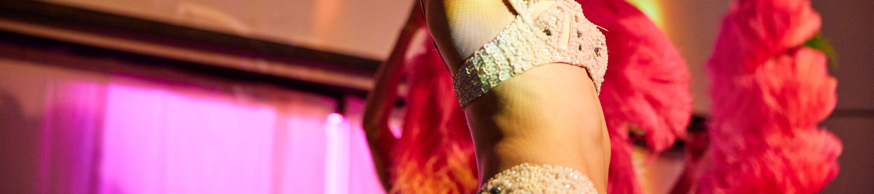 Sydney Classic Cabaret Dinner - Thumbnail 24