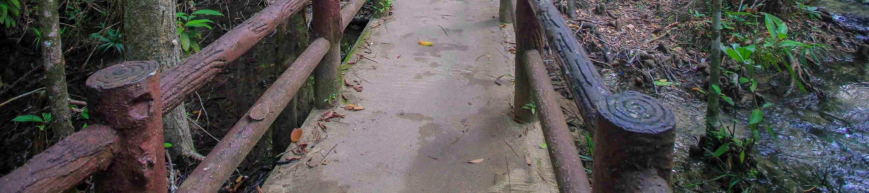 翡翠湖 & Wareerak Hotspring泰式溫泉 & 甲米大象保護區探索一日遊（甲米出發）