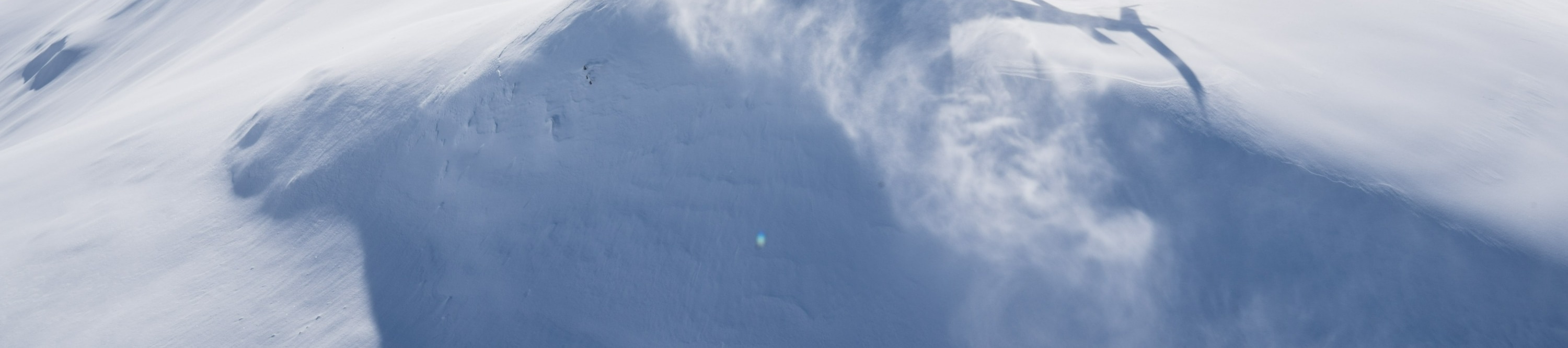 奧拉基庫克山直升機觀光（阿爾卑斯 / 雪川著陸）