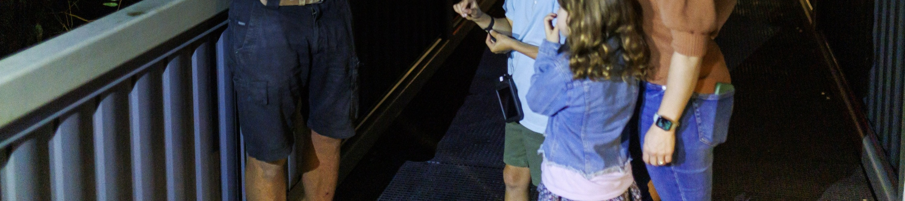 龍柏無尾熊動物園夜間導覽