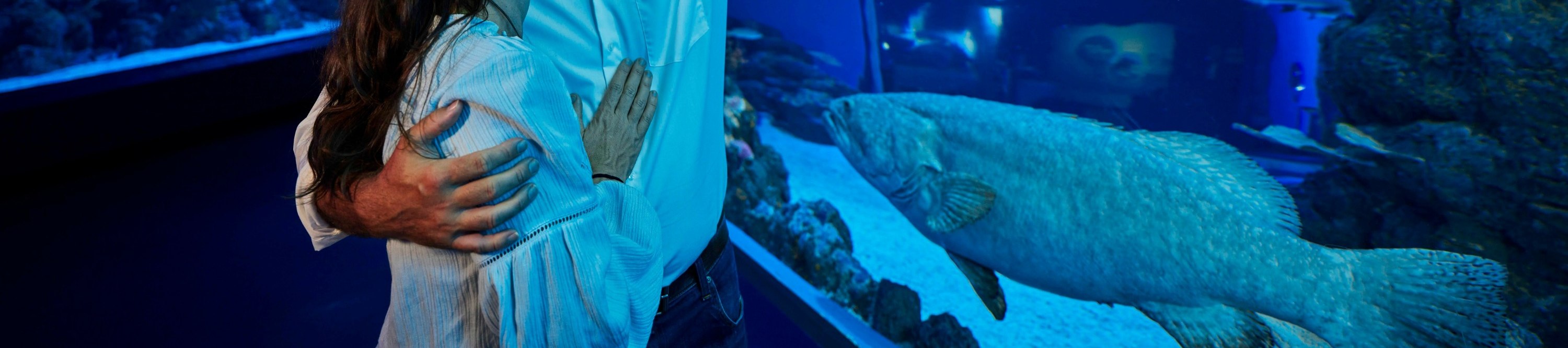 海龜康復之旅 & 凱恩斯水族館門票