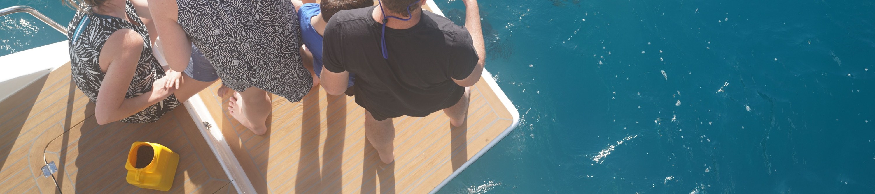 高級聖靈群島航行，SUP & 浮潛之旅