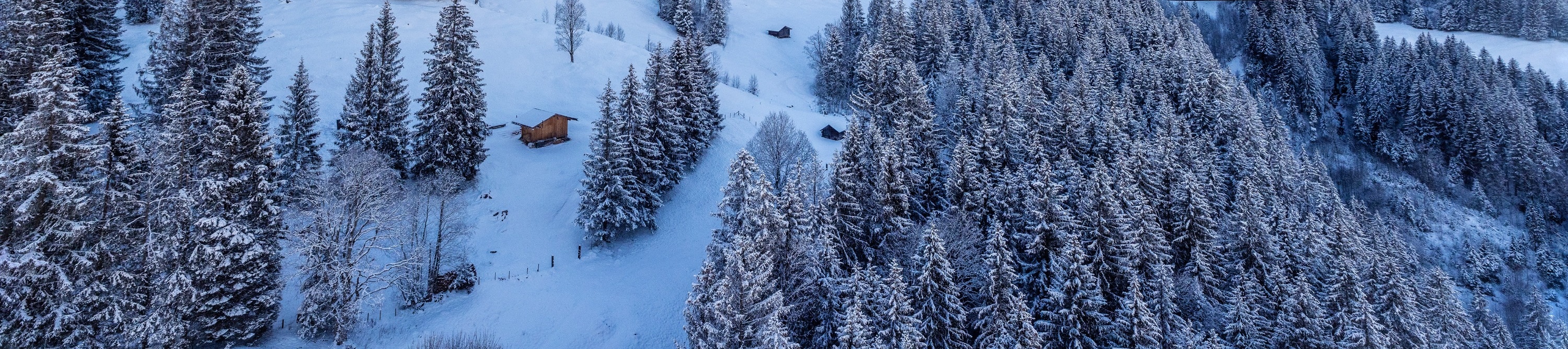 Jungfraujoch Private and Small-Group Tours