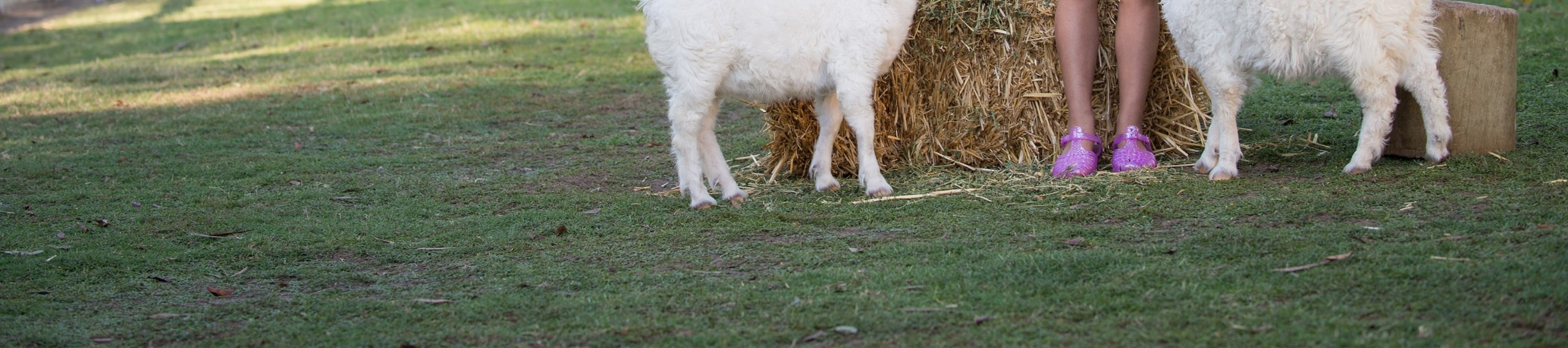 Explore the kids' nursery area, where little ones interact with friendly farm animals