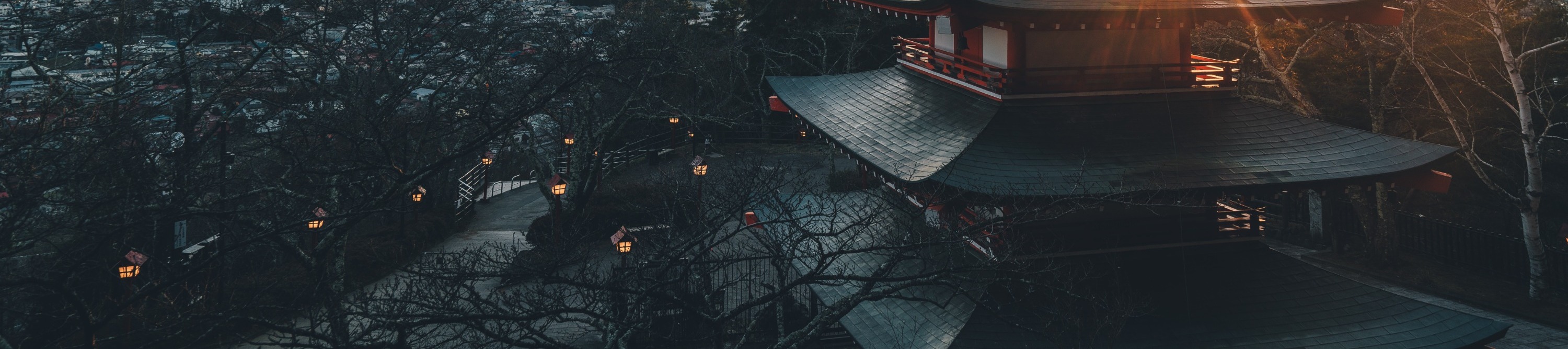 富士山一日遊：賞花 & 暢遊奧特萊斯（東京出發）