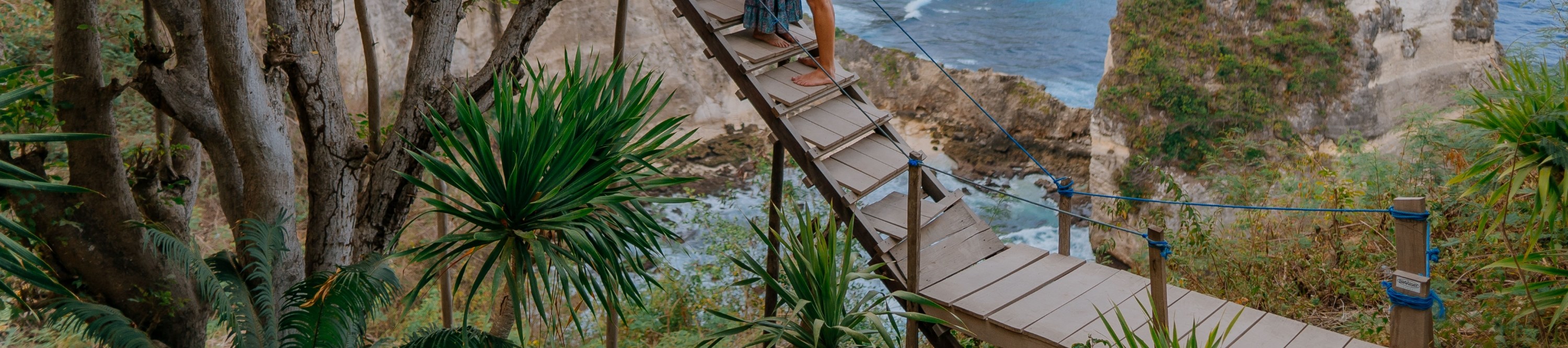 rumah pohon "tree house"