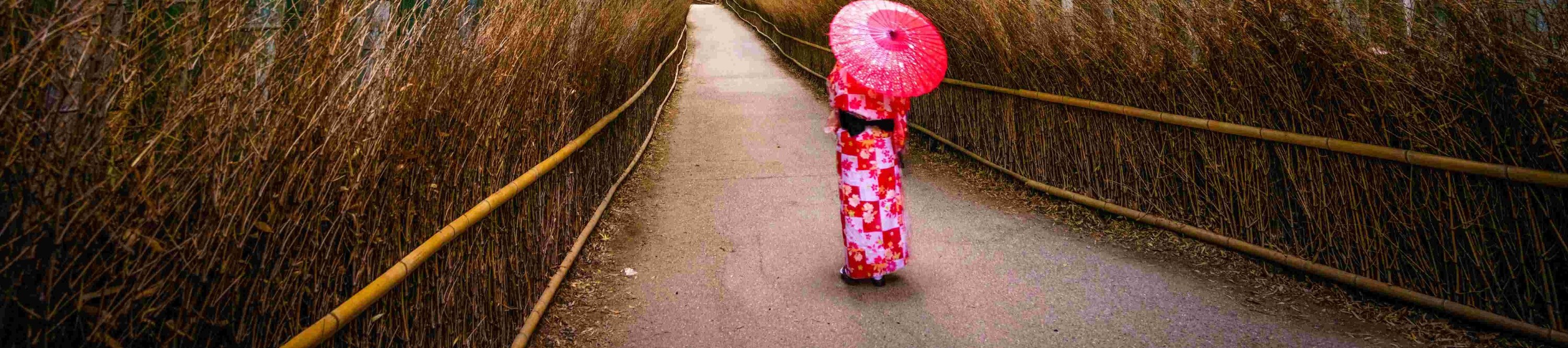 【京都&奈良一日遊】嵐山小火車&奈良公園&伏見稻荷大社千本鳥居&渡月橋&竹林小徑&和服森林 （大阪出發）