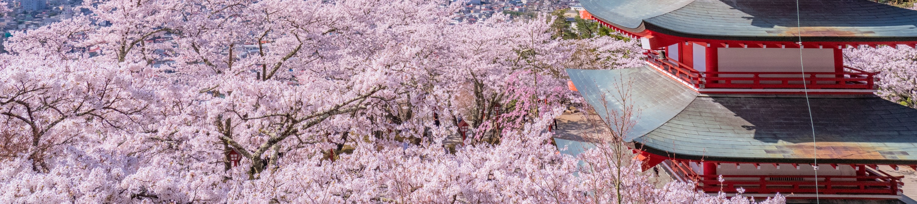 富士山新倉山淺間公園＆傳統日本村莊之旅