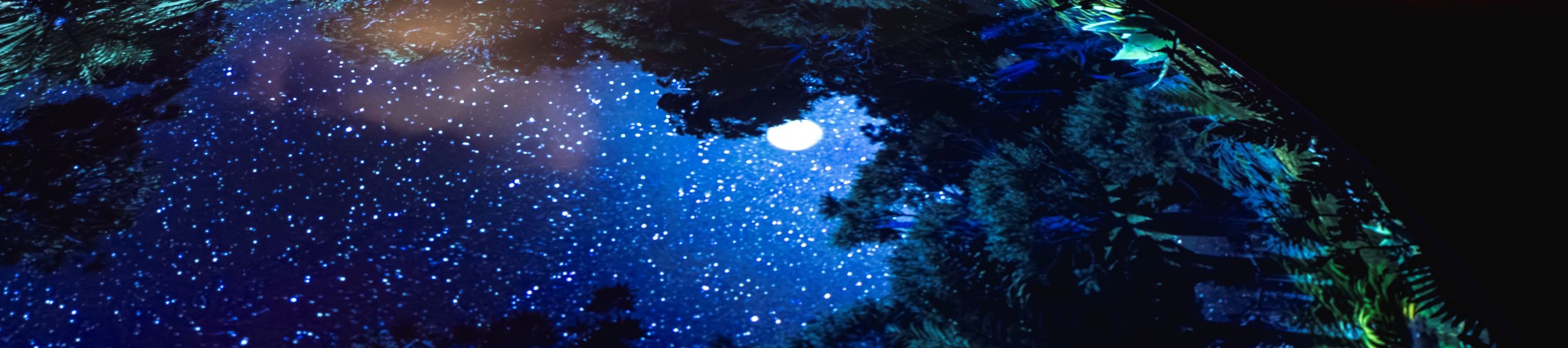 蒂卡波暗夜體驗之旅