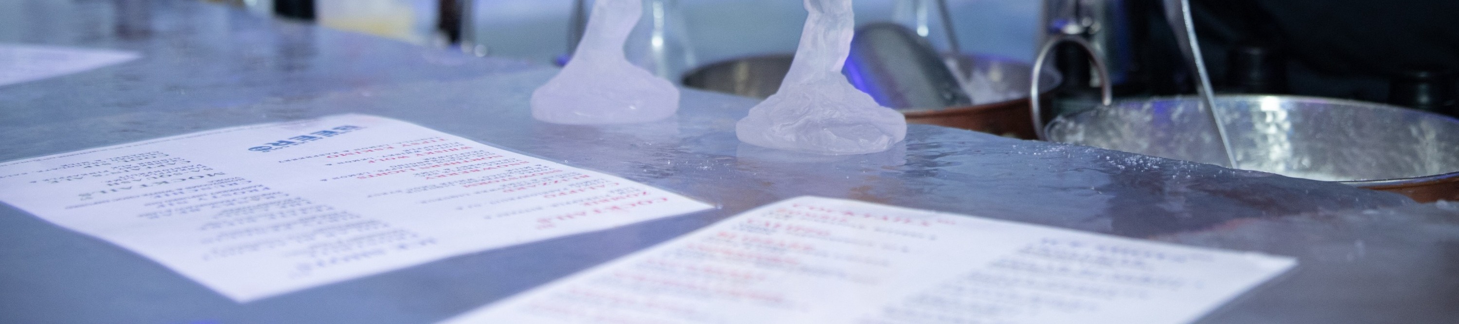 墨爾本 IceBar 冰酒吧體驗