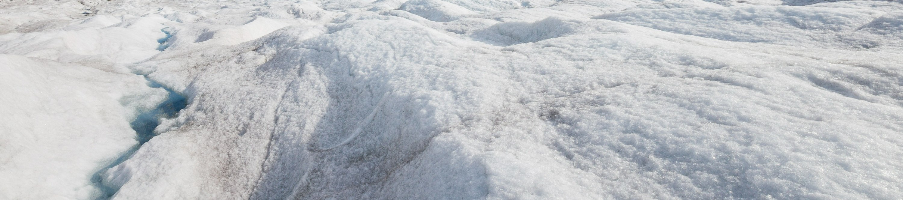 塔斯曼冰川直升機觀光 & 徒步體驗（含高山導遊）