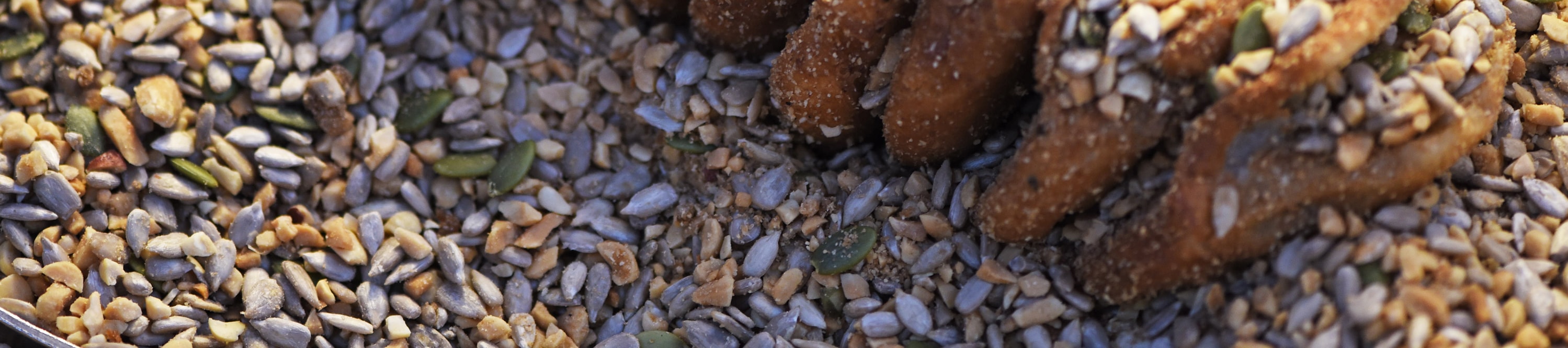 Sweet seeds and nuts stuffed pancake