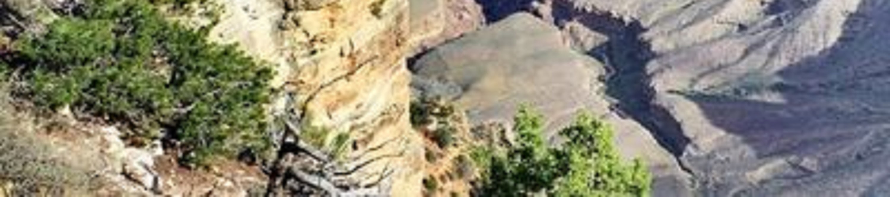 大峽谷 (Grand Canyon) 南緣一日遊