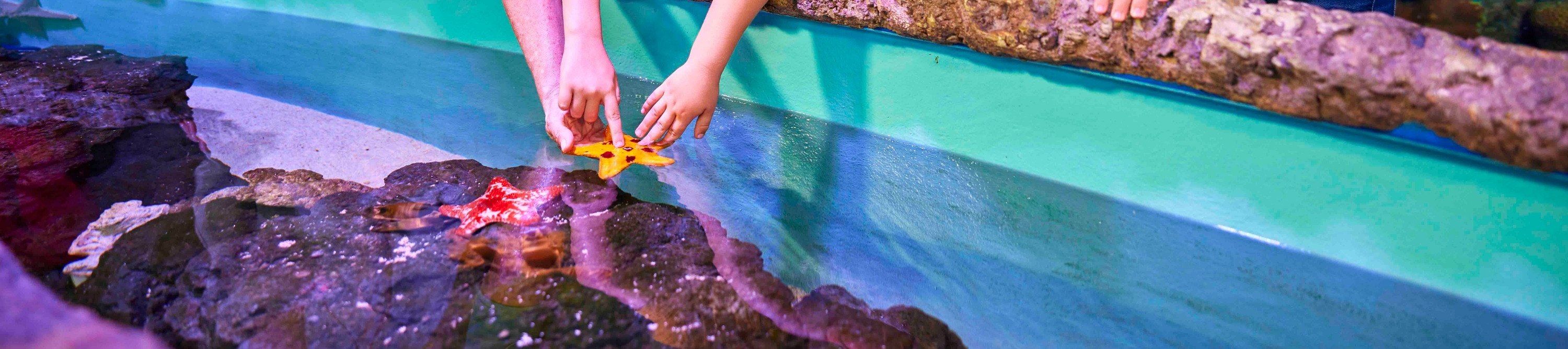 凱恩斯水族館門票＆珊瑚保育導覽之旅