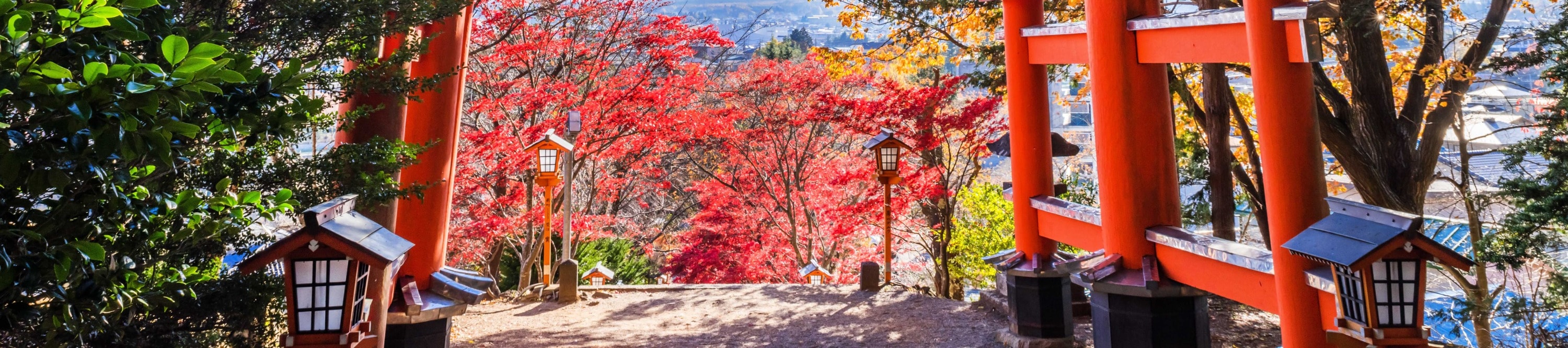 【富士山人氣打卡景點】富士山下網紅公園&日川時計店&羅森便利店&忍野八海＆大石公園一日遊 （東京站或新宿站出發）