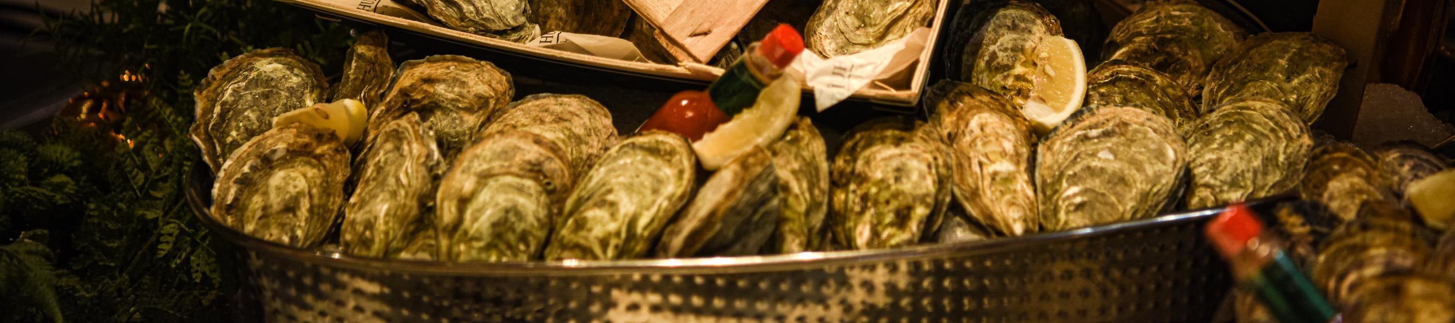 聖誕主題參考圖片