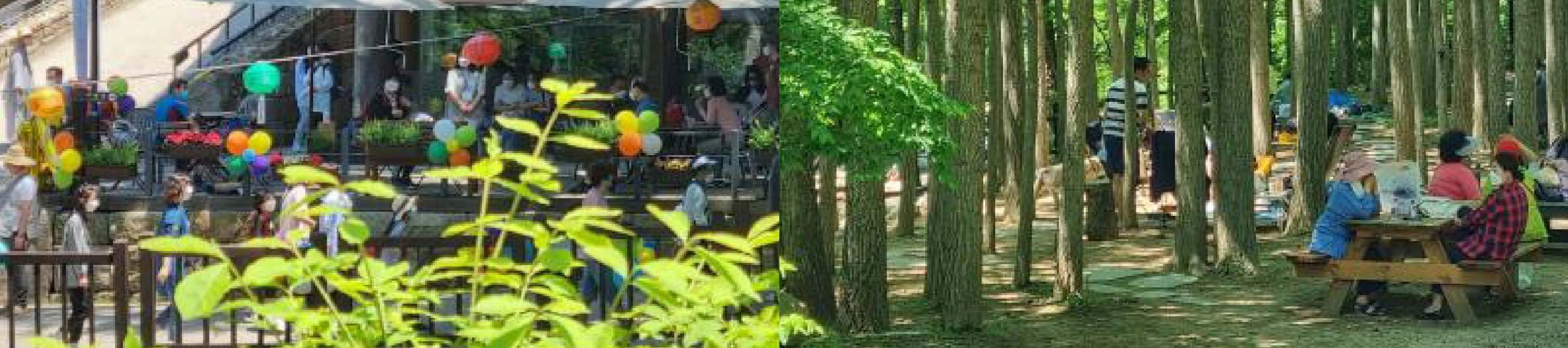 首爾市 & 季節性熱門景點一日遊