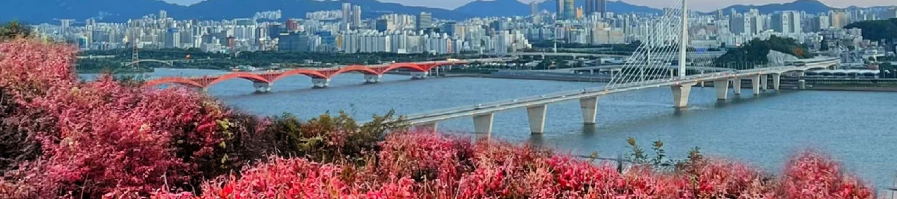 首爾市 & 季節性熱門景點一日遊