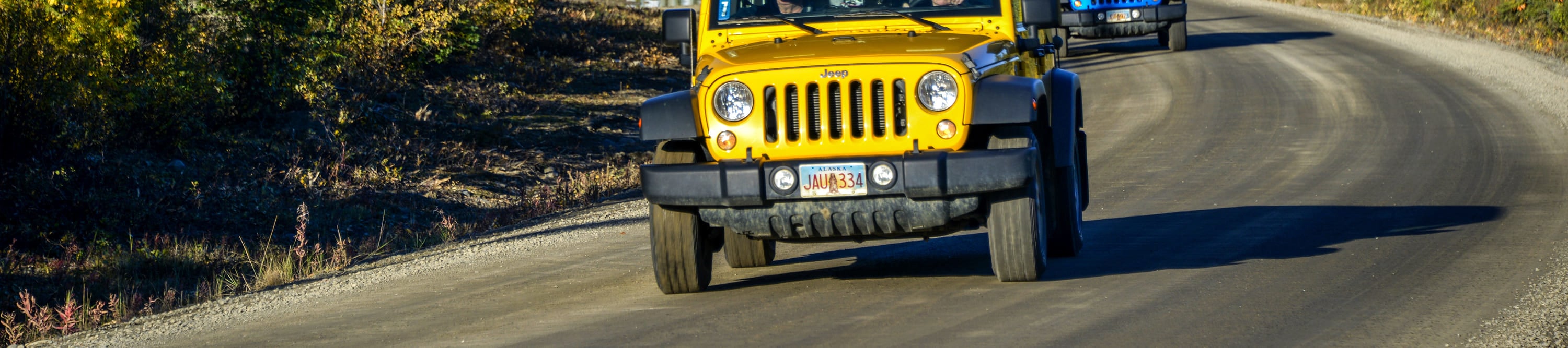 德納里公路吉普車遊覽 (Highway Jeep Excursion in Denali)