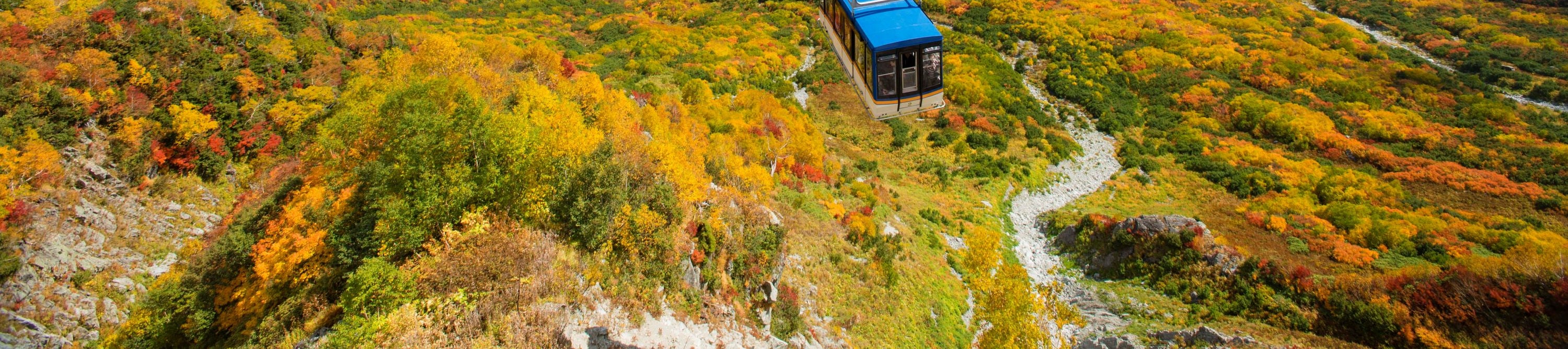2D1N Tateyama Kurobe Alpine Route Kamikochi Summer Tour from Nagoya