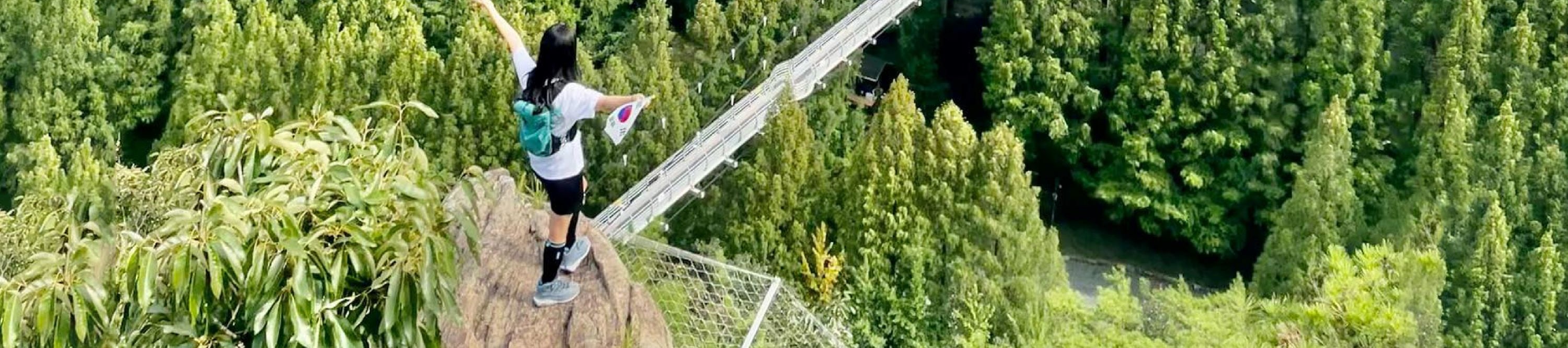 長泰山可以欣賞到周圍群山和森林的壯麗全景。🌳
