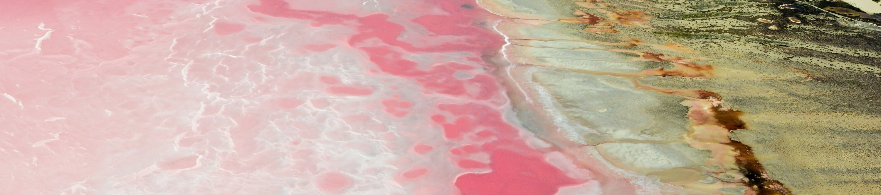 赫特瀉湖（粉紅糊）觀光飛行體驗（傑拉爾頓出發）