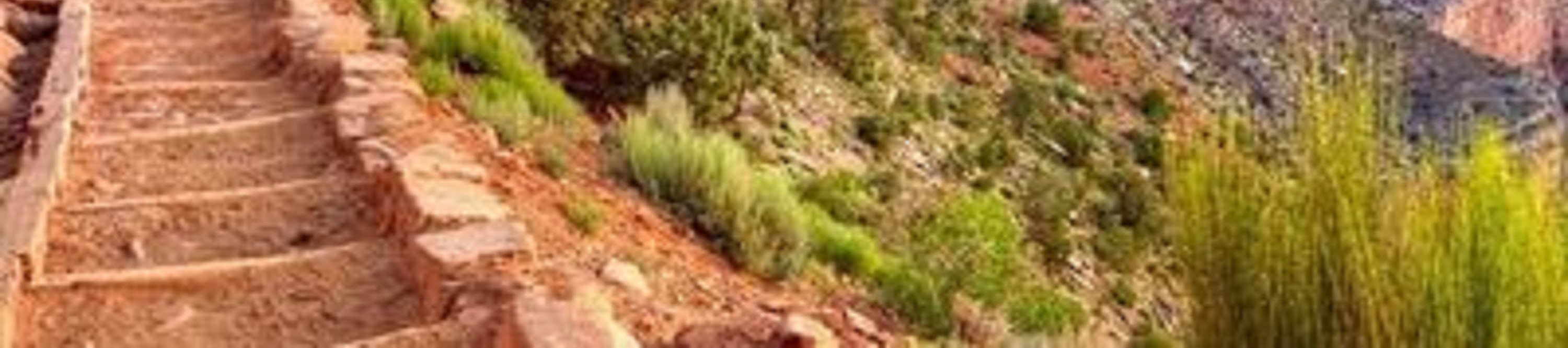 大峽谷 (Grand Canyon) 南緣一日遊