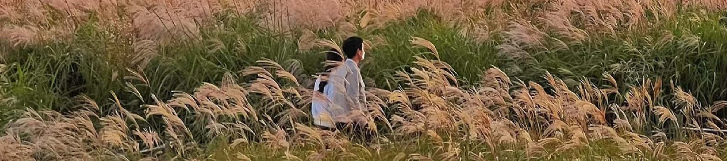 首爾市 & 季節性熱門景點一日遊