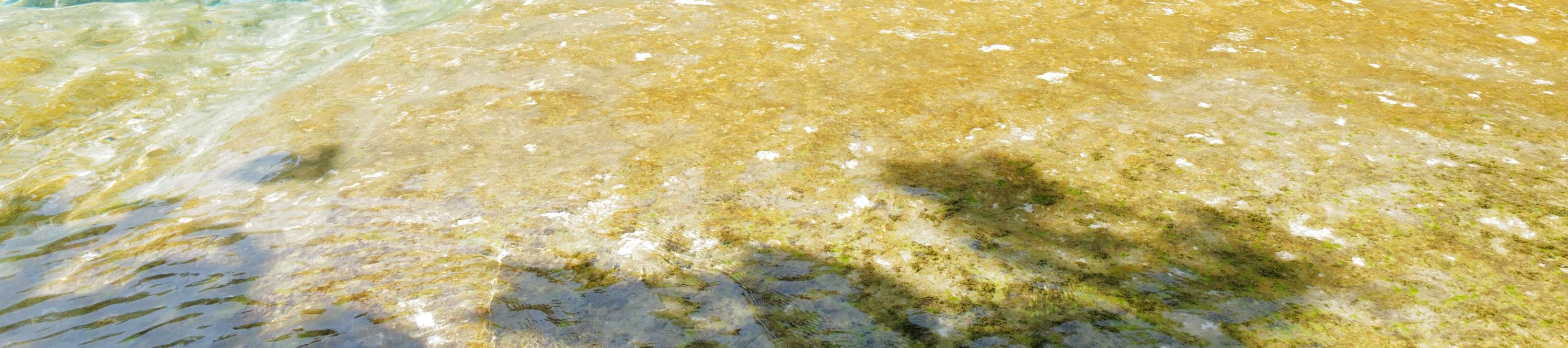 翡翠湖 & Wareerak Hotspring泰式溫泉 & 甲米大象保護區探索一日遊（甲米出發）