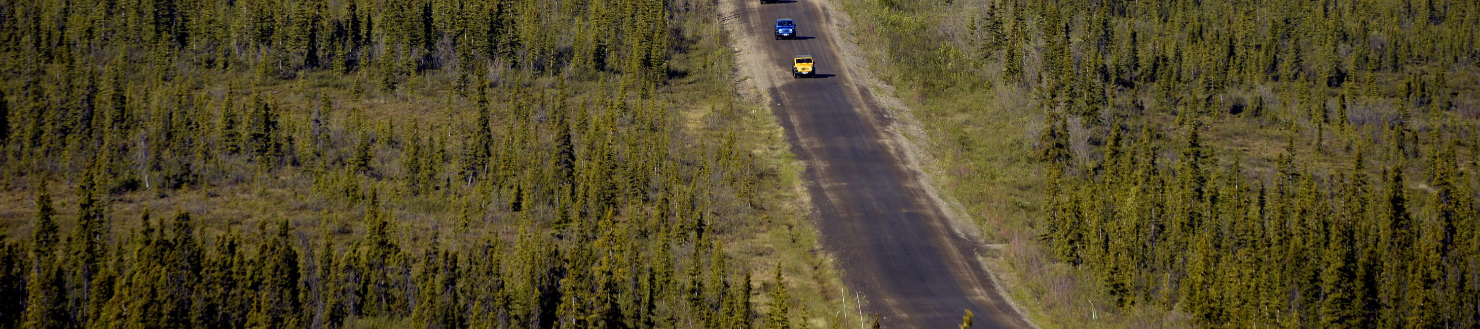 德納里公路吉普車遊覽 (Highway Jeep Excursion in Denali)